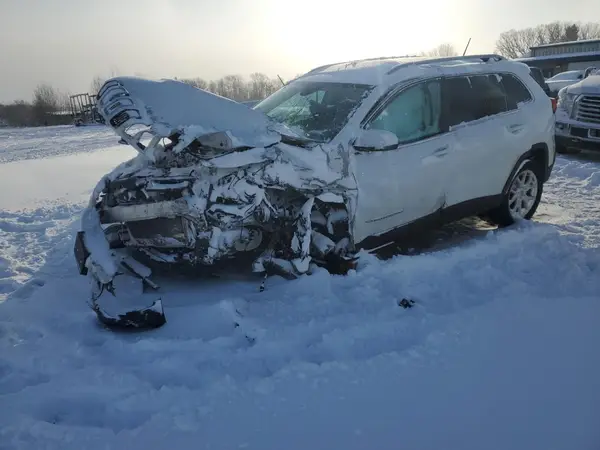 1C4PJLCBXJD605809 2018 JEEP GRAND CHEROKEE - Image 1