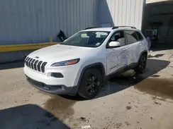 1C4PJLDB0HW548338 2017 JEEP GRAND CHEROKEE