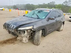 1C4PJLDS2GW114047 2016 JEEP GRAND CHEROKEE