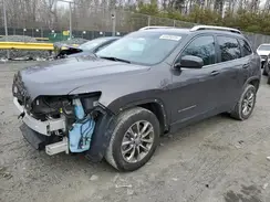 1C4PJLLB1KD184659 2019 JEEP GRAND CHEROKEE