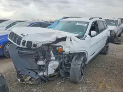 1C4PJLLB2KD466101 2019 JEEP GRAND CHEROKEE