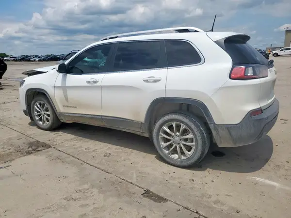 1C4PJLLB4MD116066 2021 JEEP GRAND CHEROKEE - Image 2