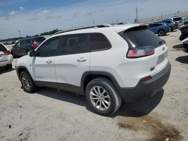 1C4PJMCB8LD579560 2020 JEEP GRAND CHEROKEE - Image 2