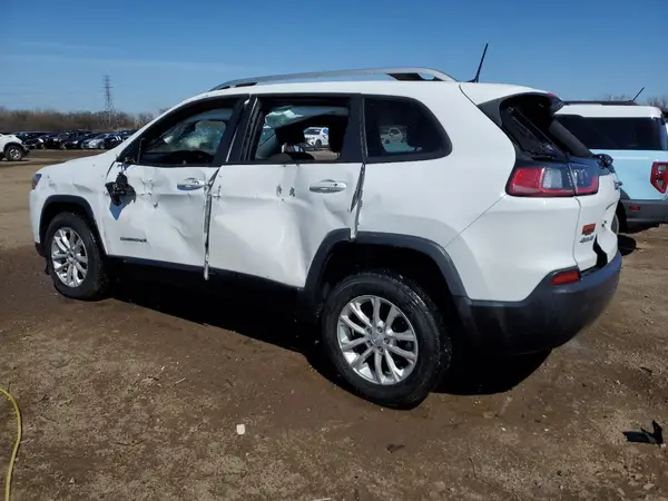 1C4PJMCB8MD245109 2021 JEEP GRAND CHEROKEE - Image 2