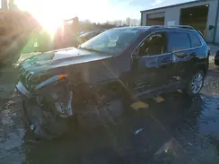 1C4PJMDB8GW153358 2016 JEEP GRAND CHEROKEE