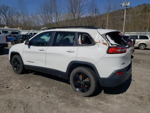 1C4PJMDB9GW314249 2016 JEEP GRAND CHEROKEE - Image 2