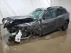 1C4PJMDS5HW503840 2017 JEEP GRAND CHEROKEE