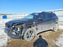 1C4PJMDS8HW633725 2017 JEEP GRAND CHEROKEE