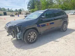 1C4PJMLB3KD141446 2019 JEEP GRAND CHEROKEE