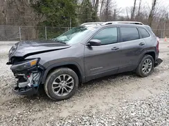 1C4PJMLB5KD425161 2019 JEEP GRAND CHEROKEE