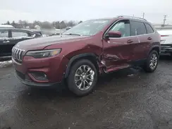 1C4PJMLBXKD391346 2019 JEEP GRAND CHEROKEE