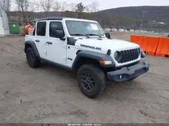 1C4PJXDN1RW109555 2024 JEEP WRANGLER