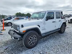 1C4PJXEG9RW345242 2024 JEEP WRANGLER