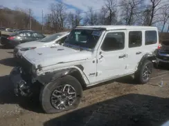 1C4PJXENXSW500496 2025 JEEP WRANGLER