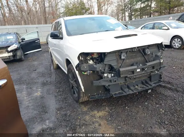 1C4RDJDG5KC833738 2019 DODGE DURANGO - Image 1
