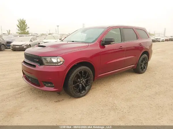 1C4RDJDG6LC411463 2020 DODGE DURANGO - Image 2