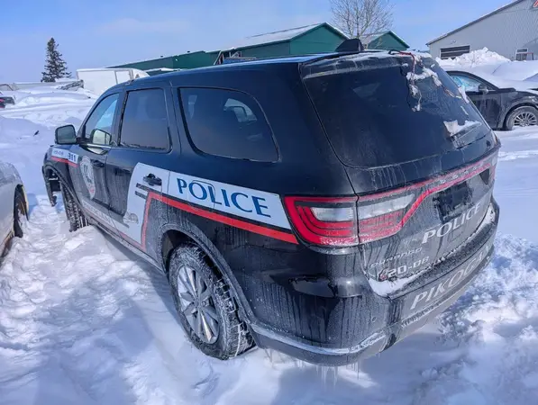 1C4RDJFGXLC365925 2020 DODGE DURANGO - Image 2