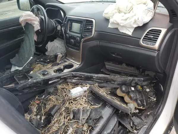 1C4RJFBG5GC491448 2016 JEEP GRAND CHEROKEE - Image 8