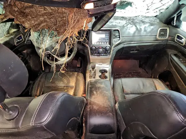 1C4RJFBGXHC900304 2017 JEEP GRAND CHEROKEE - Image 8