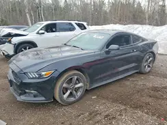 1FA6P8AM0G5209781 2016 FORD MUSTANG