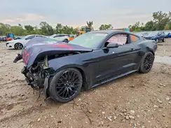 1FA6P8AM0G5298736 2016 FORD MUSTANG