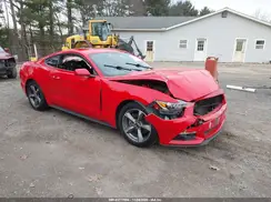 1FA6P8AM0G5337535 2016 FORD MUSTANG