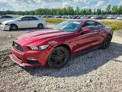 1FA6P8AM0H5219597 2017 FORD MUSTANG