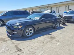 1FA6P8AM0H5226677 2017 FORD MUSTANG