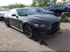 1FA6P8AM0H5230504 2017 FORD MUSTANG