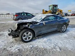 1FA6P8AM0H5237386 2017 FORD MUSTANG