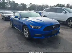 1FA6P8AM0H5239025 2017 FORD MUSTANG