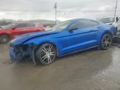 1FA6P8AM0H5266466 2017 FORD MUSTANG