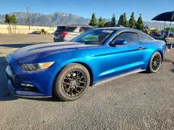 1FA6P8AM0H5266595 2017 FORD MUSTANG