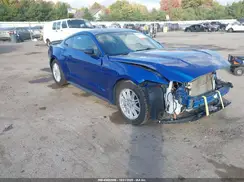 1FA6P8AM0H5276785 2017 FORD MUSTANG