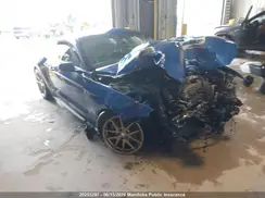 1FA6P8AM0H5299225 2017 FORD MUSTANG