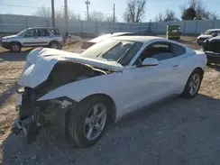 1FA6P8AM0H5302446 2017 FORD MUSTANG