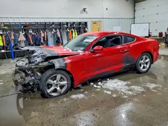 1FA6P8AM0H5309316 2017 FORD MUSTANG