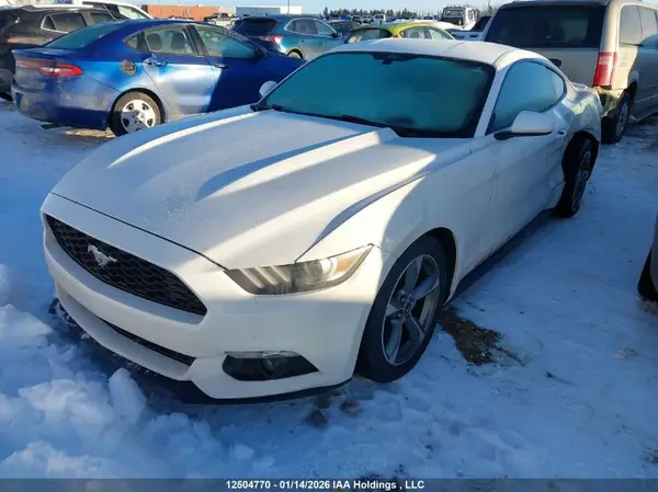 1FA6P8AM0H5318792 2017 FORD MUSTANG - Image 2