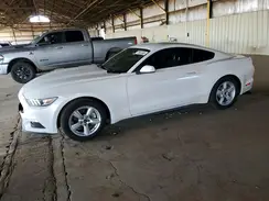 1FA6P8AM0H5330859 2017 FORD MUSTANG