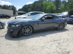 1FA6P8AM0H5343966 2017 FORD MUSTANG