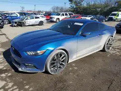 1FA6P8AM0H5351579 2017 FORD MUSTANG