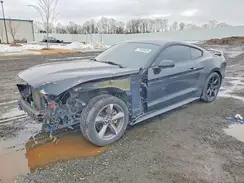 1FA6P8AM1G5259217 2016 FORD MUSTANG