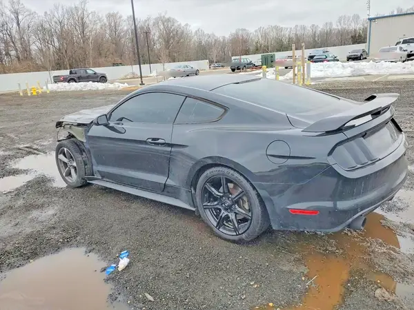 1FA6P8AM1G5259217 2016 FORD MUSTANG - Image 2