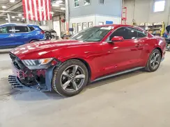 1FA6P8AM1G5273909 2016 FORD MUSTANG