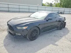 1FA6P8AM1G5309680 2016 FORD MUSTANG