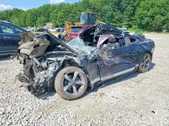 1FA6P8AM1G5311641 2016 FORD MUSTANG