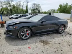 1FA6P8AM1G5331260 2016 FORD MUSTANG