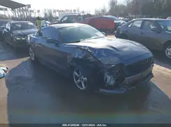 1FA6P8AM1H5224713 2017 FORD MUSTANG