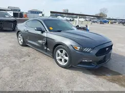 1FA6P8AM1H5226834 2017 FORD MUSTANG