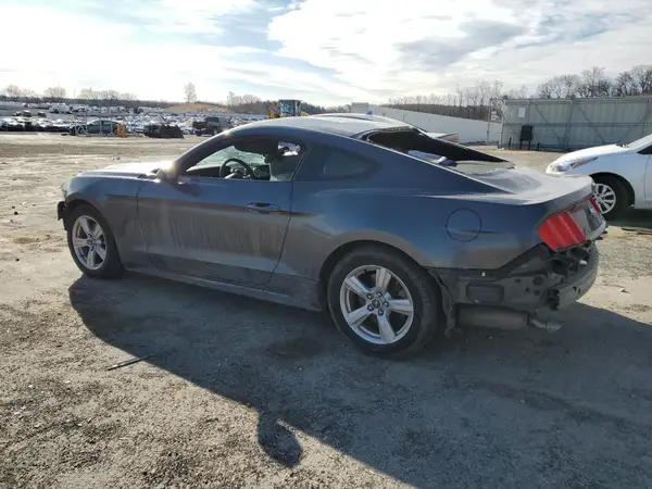 1FA6P8AM1H5230494 2017 FORD MUSTANG - Image 2